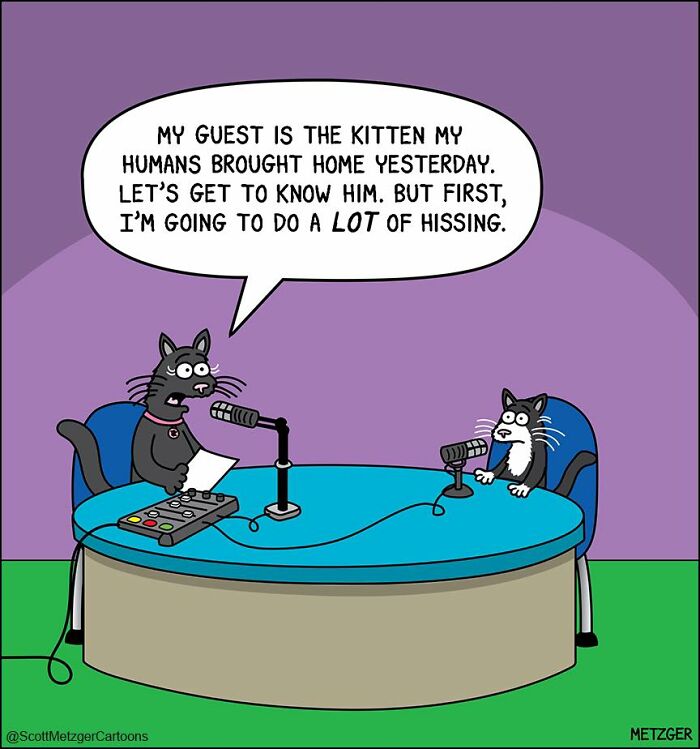 Wait Till You See These Hilarious Cat vs. Dog Comics!