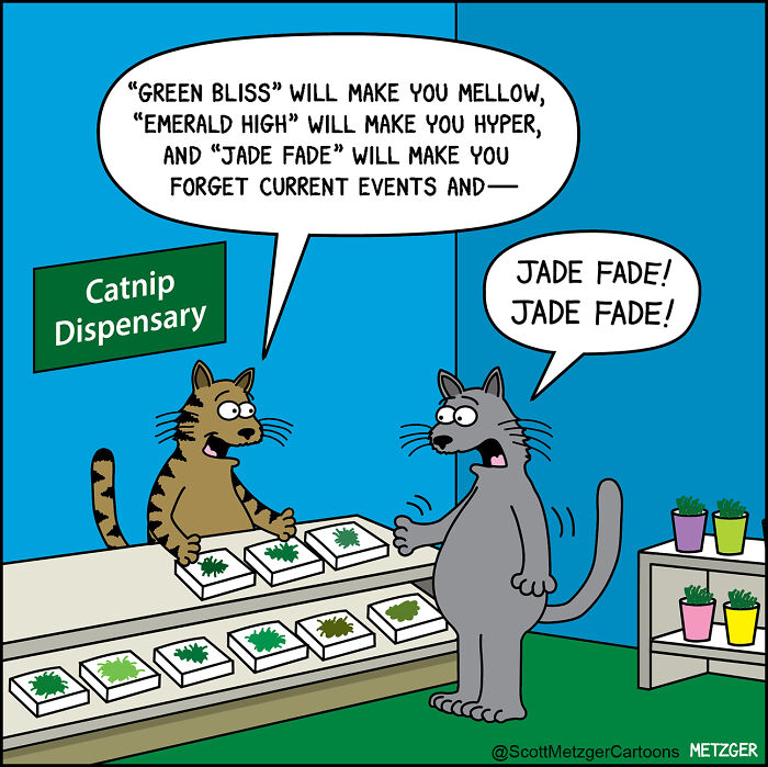 Wait Till You See These Hilarious Cat vs. Dog Comics!