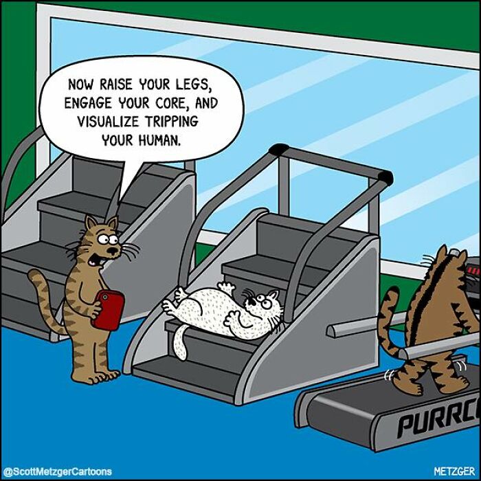 Wait Till You See These Hilarious Cat vs. Dog Comics!