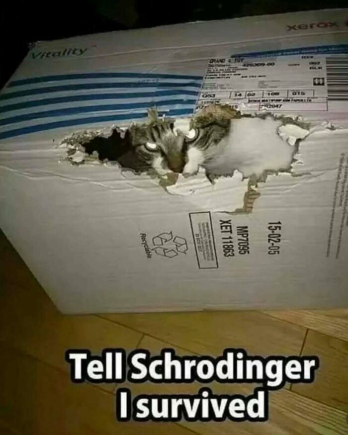 Math Memes That'll Make You LOL Even If You Hate Numbers