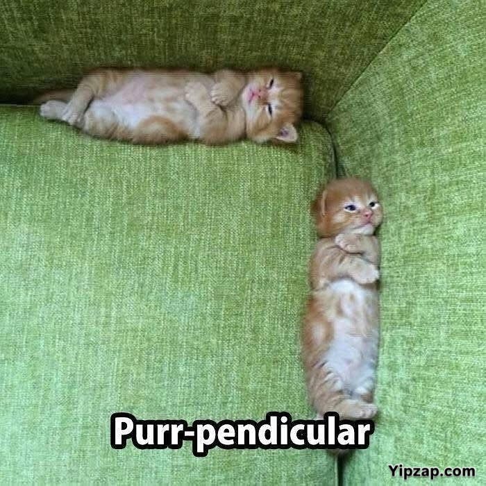 Math Memes That'll Make You LOL Even If You Hate Numbers