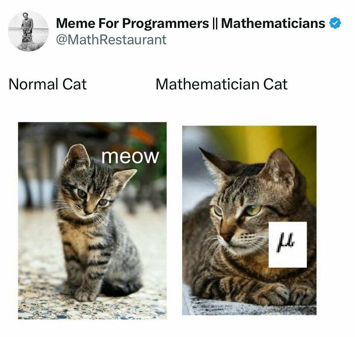 Math Memes That'll Make You LOL Even If You Hate Numbers