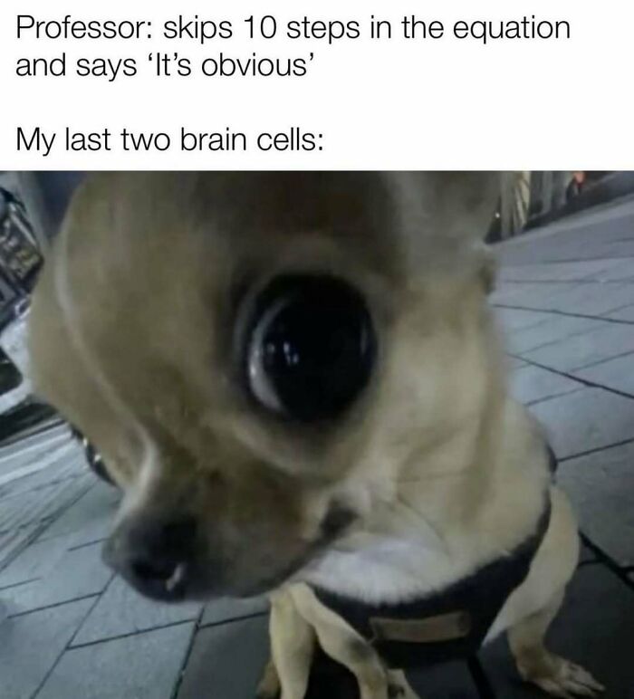 Math Memes That'll Make You LOL Even If You Hate Numbers