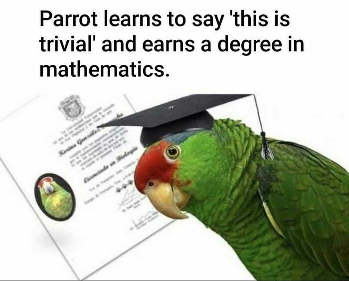 Math Memes That'll Make You LOL Even If You Hate Numbers