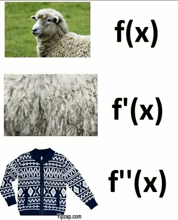 Math Memes That'll Make You LOL Even If You Hate Numbers