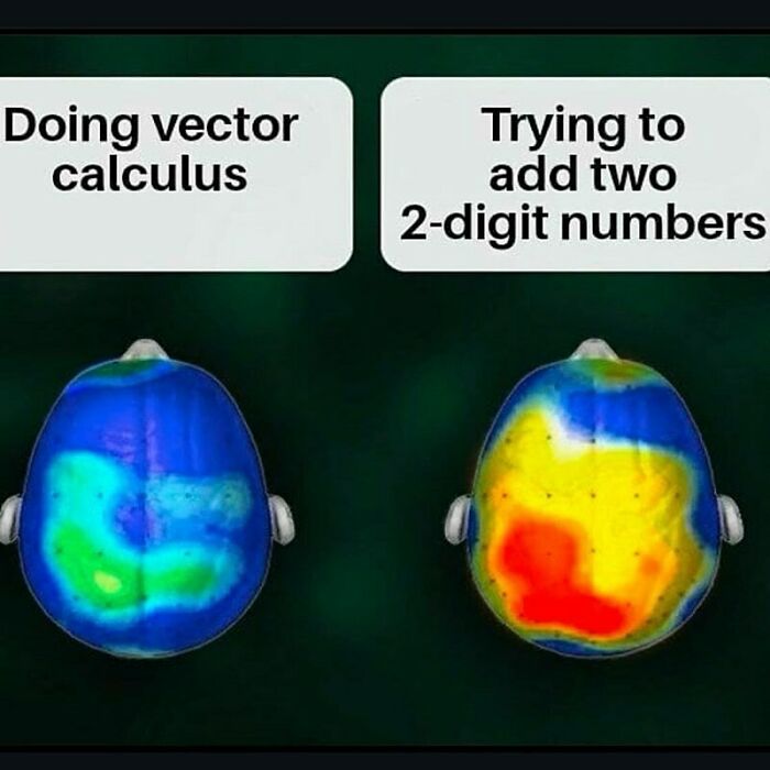 Math Memes That'll Make You LOL Even If You Hate Numbers