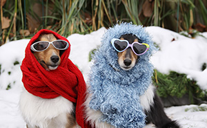 14 Everyday Things That Totally Split Opinions