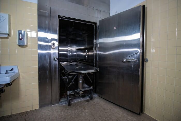 48 Jaw-Dropping Things People Heard Casually That Make You Go "Wait, What?!"