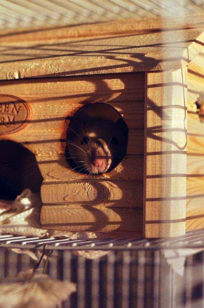 48 Jaw-Dropping Things People Heard Casually That Make You Go "Wait, What?!"