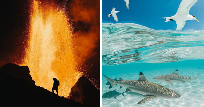 Wait, They Actually Snapped THAT Moment?!