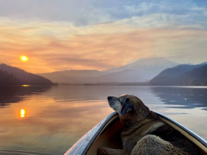 Wait, They Actually Snapped THAT Moment?!