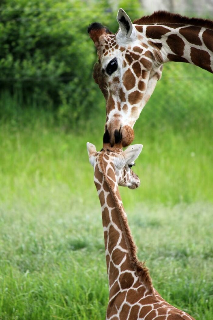 Wait, They Actually Snapped THAT Moment?!