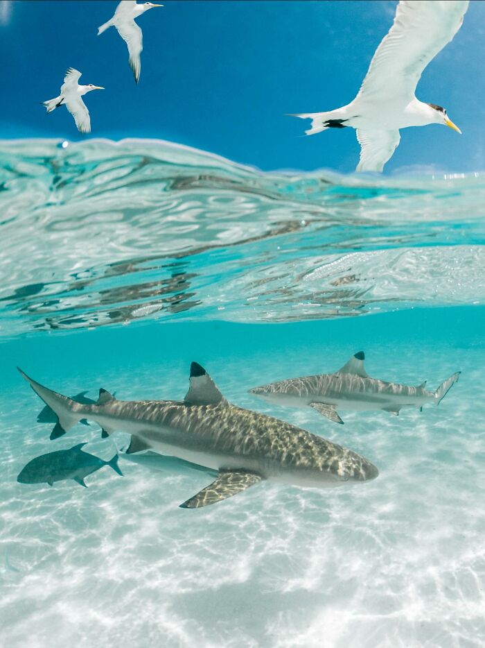 Wait, They Actually Snapped THAT Moment?!