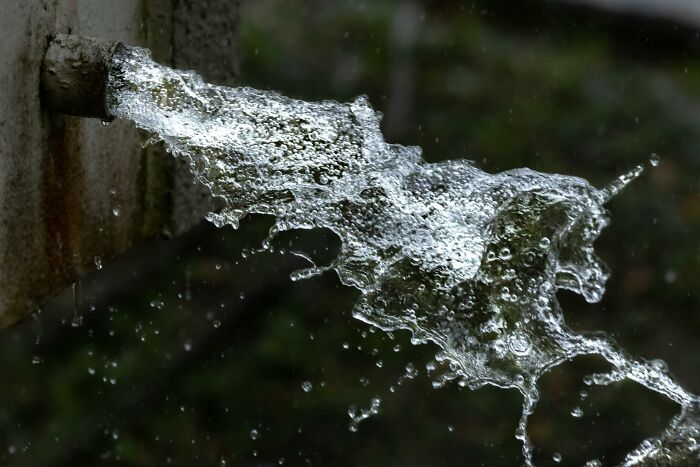 Wait, They Actually Snapped THAT Moment?!