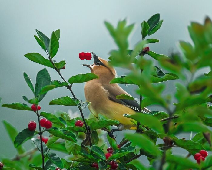 Wait, They Actually Snapped THAT Moment?!