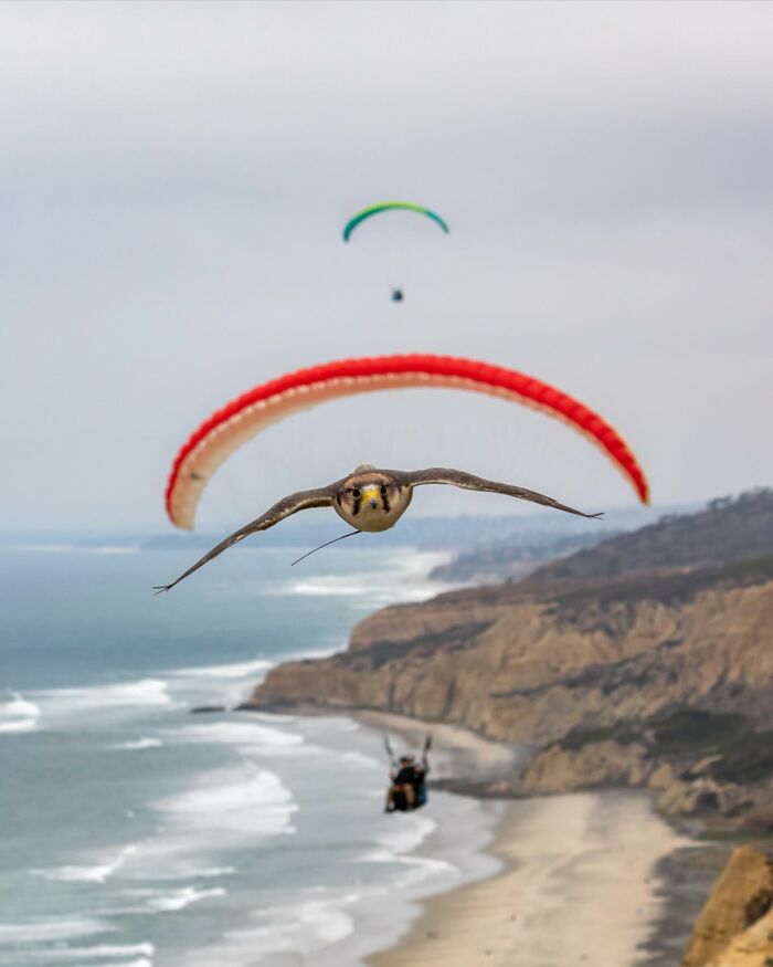 Wait, They Actually Snapped THAT Moment?!