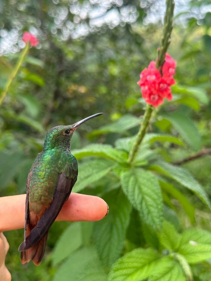 Wait, They Actually Snapped THAT Moment?!