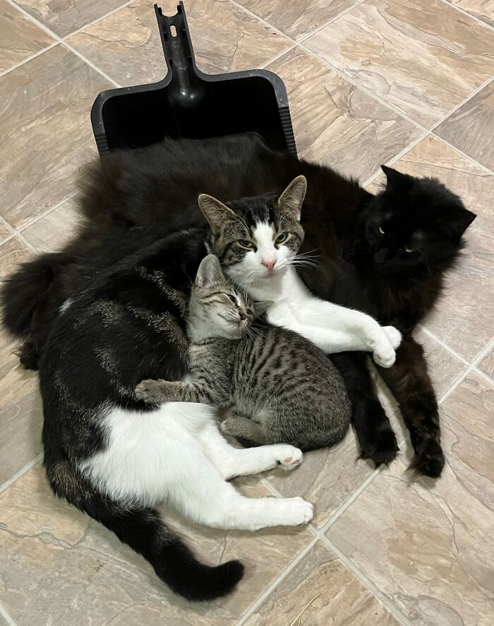 Wait, They Actually Snapped THAT Moment?!