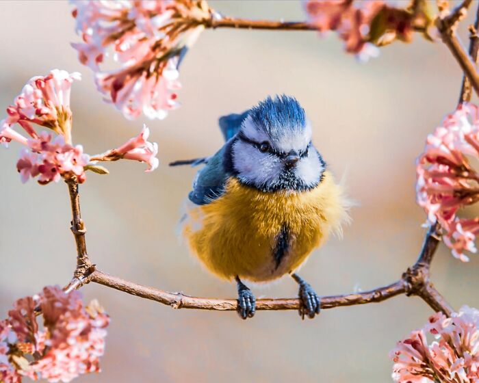 Wait, They Actually Snapped THAT Moment?!