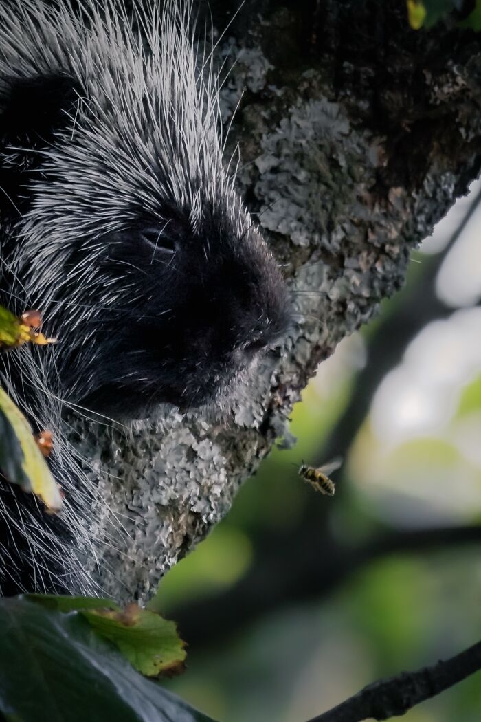 Wait, They Actually Snapped THAT Moment?!