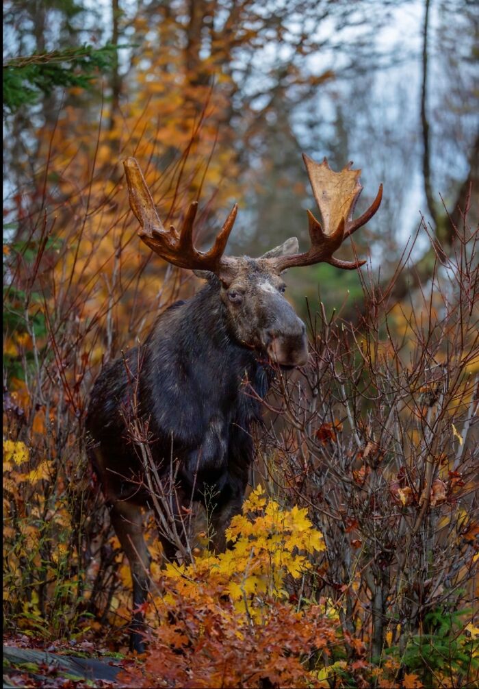 Wait, They Actually Snapped THAT Moment?!