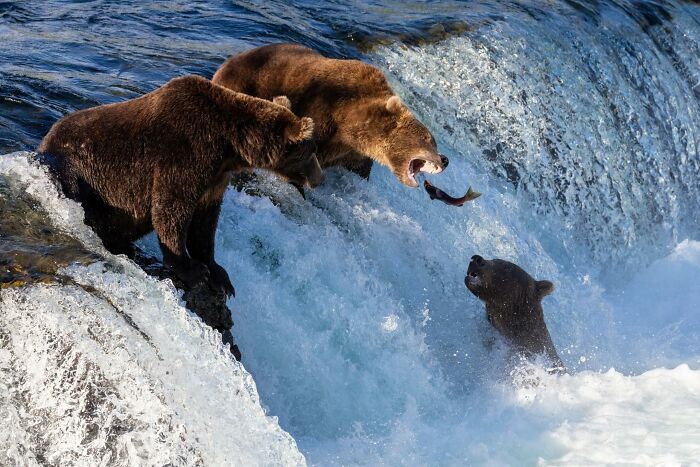 Wait, They Actually Snapped THAT Moment?!