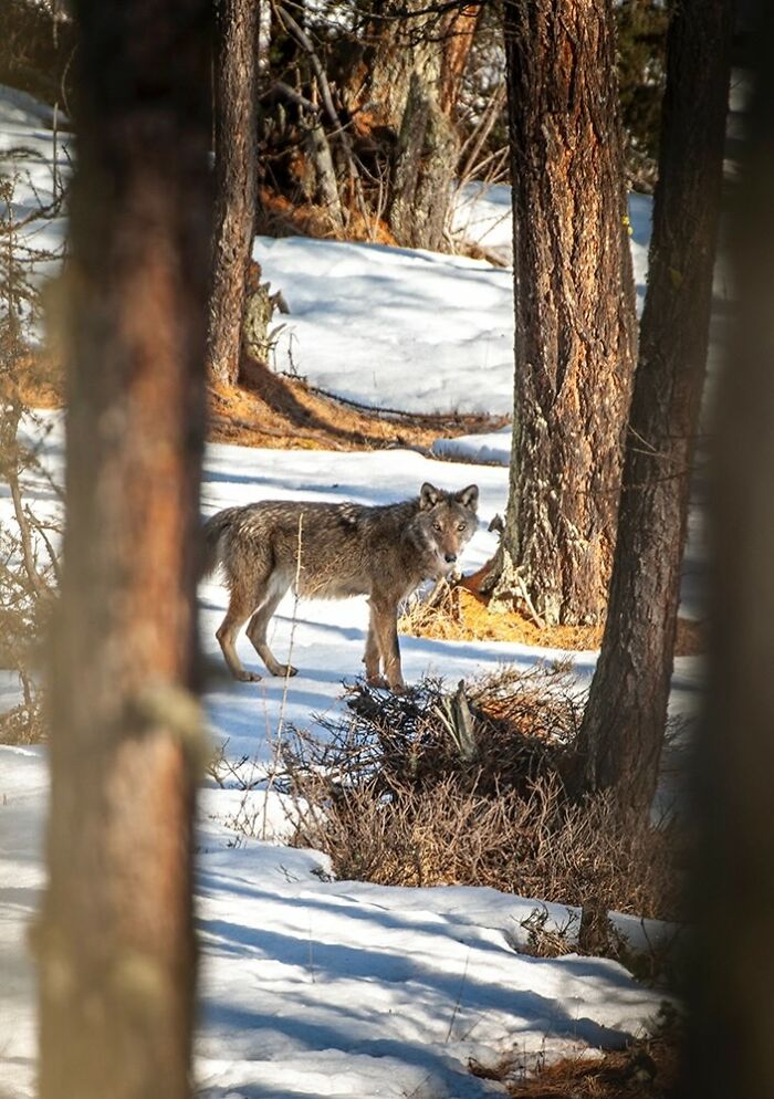 Wait, They Actually Snapped THAT Moment?!