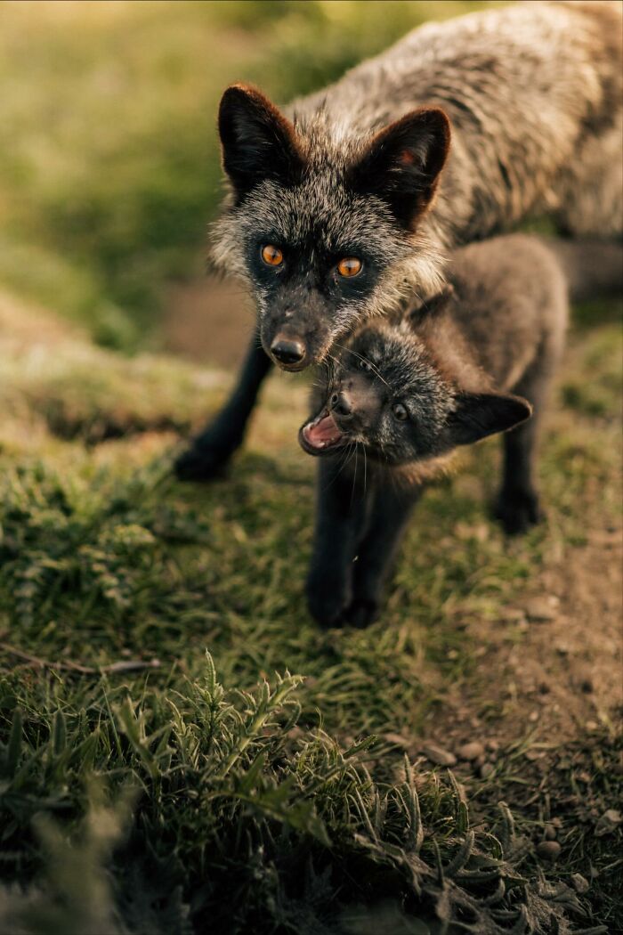 Wait, They Actually Snapped THAT Moment?!