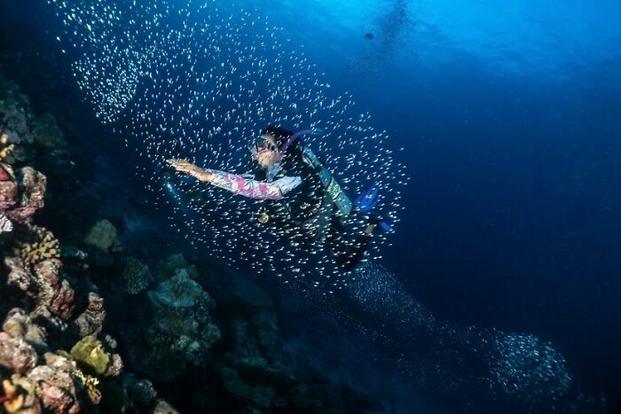 Wait, They Actually Snapped THAT Moment?!