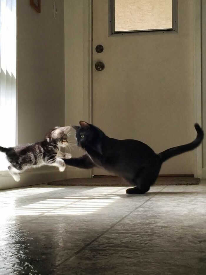 Wait, They Actually Snapped THAT Moment?!