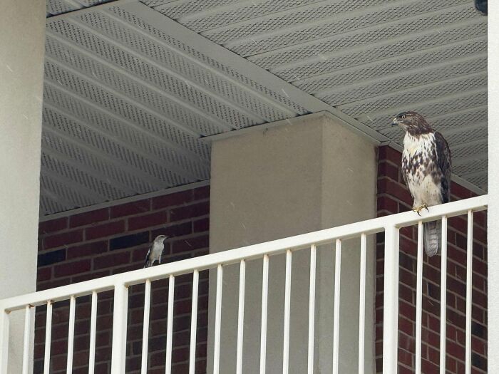 Wait, They Actually Snapped THAT Moment?!