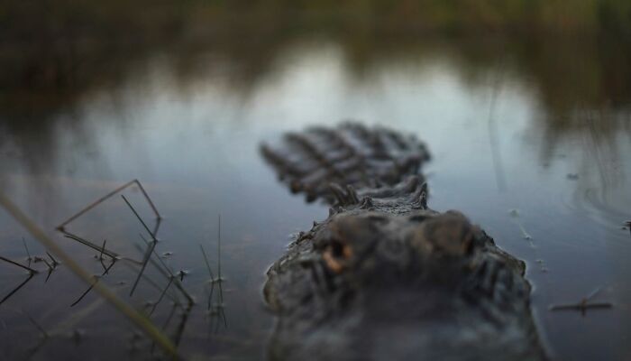 Wait, They Actually Snapped THAT Moment?!