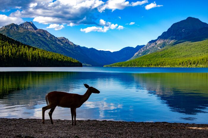 Wait, They Actually Snapped THAT Moment?!