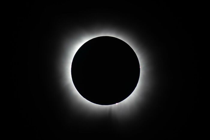 Wait, They Actually Snapped THAT Moment?!