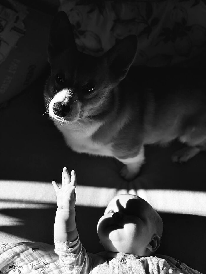 Wait, They Actually Snapped THAT Moment?!