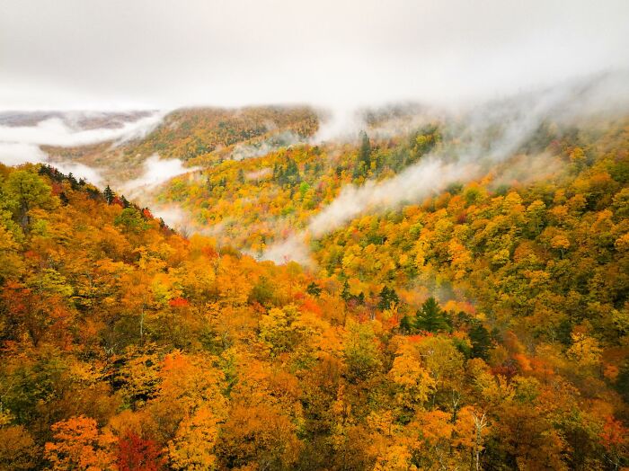 Wait, They Actually Snapped THAT Moment?!