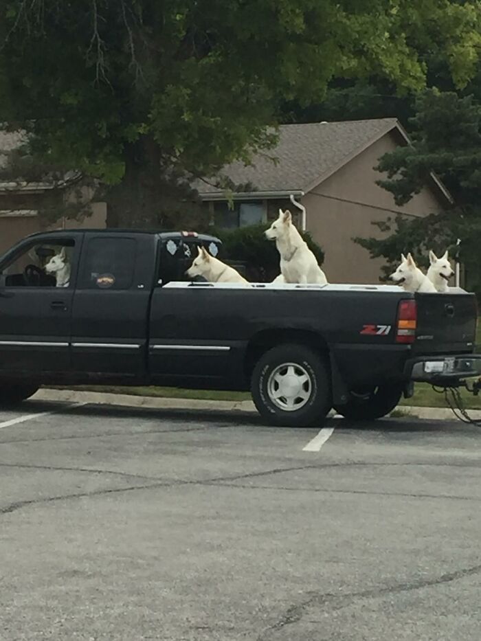 Wait, They Actually Snapped THAT Moment?!