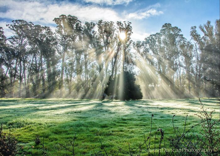 Wait, They Actually Snapped THAT Moment?!