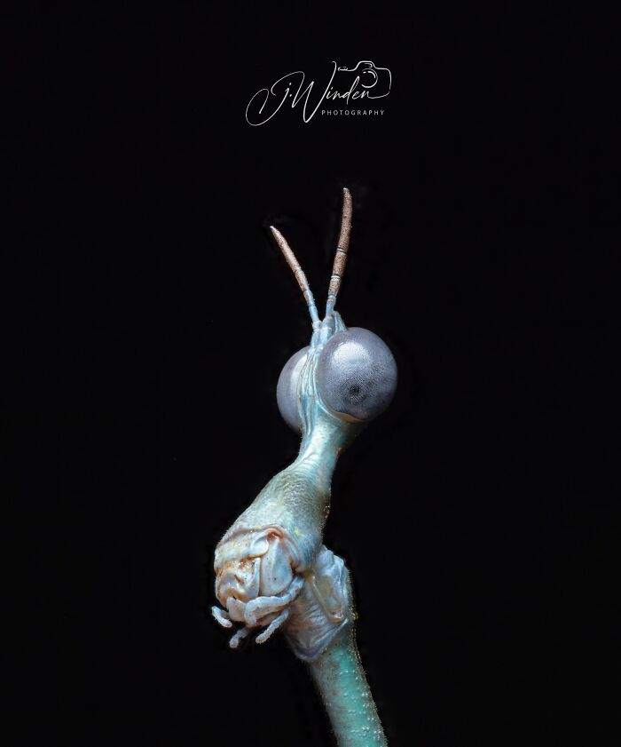 Wait, They Actually Snapped THAT Moment?!