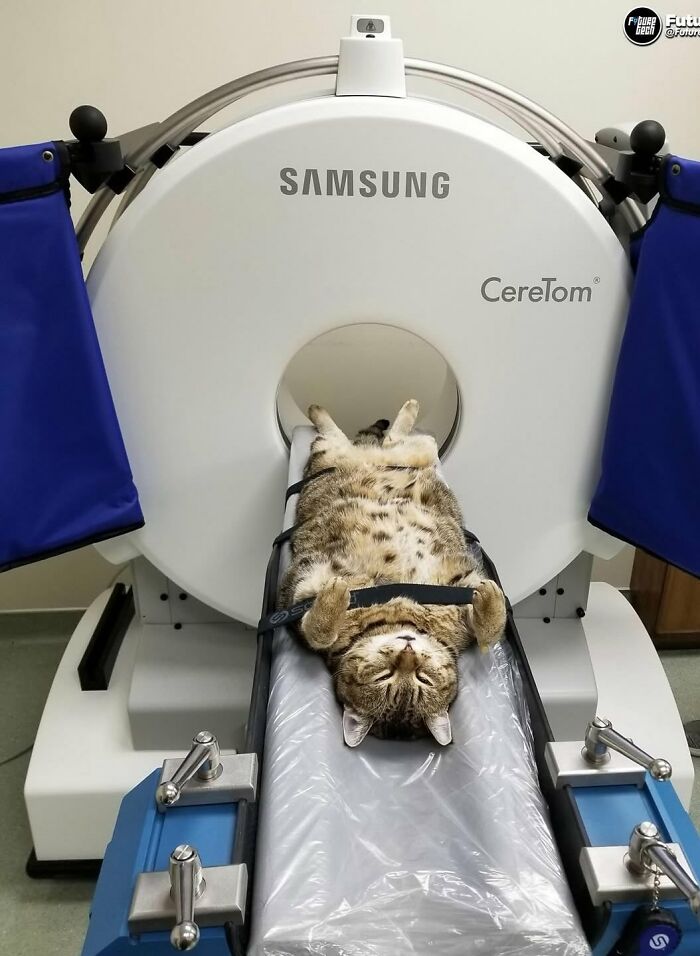 Wait, They Actually Snapped THAT Moment?!