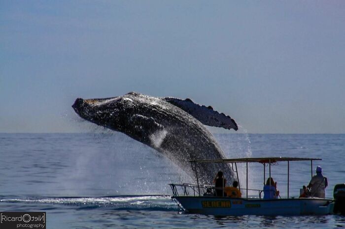 Wait, They Actually Snapped THAT Moment?!