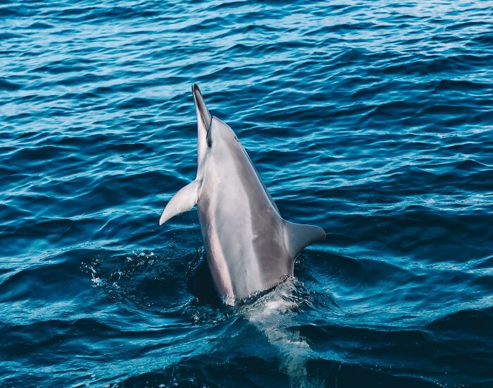 Wait, They Actually Snapped THAT Moment?!