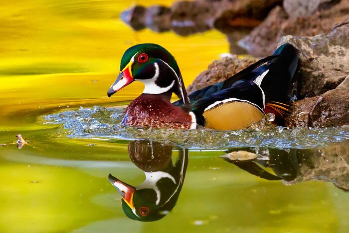 Wait, They Actually Snapped THAT Moment?!