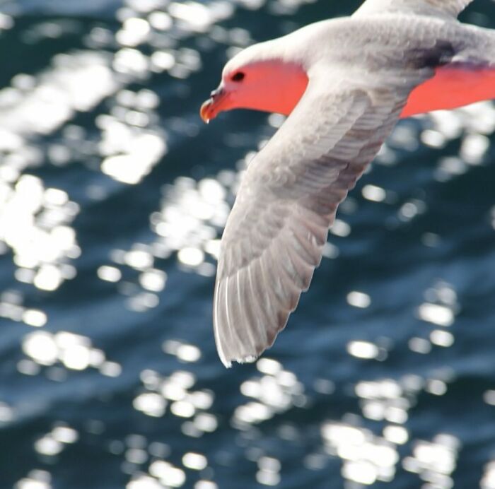 Wait, They Actually Snapped THAT Moment?!