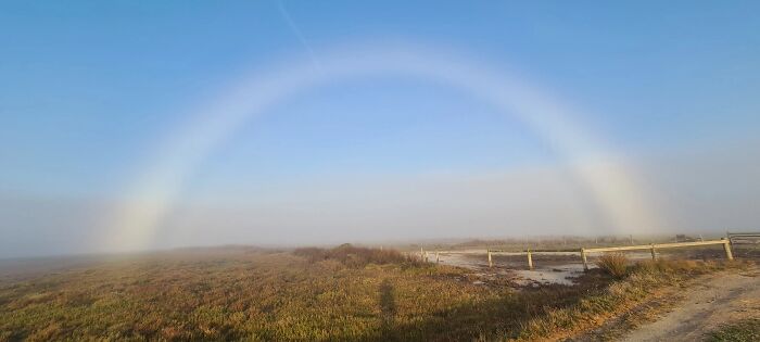 Wait, They Actually Snapped THAT Moment?!