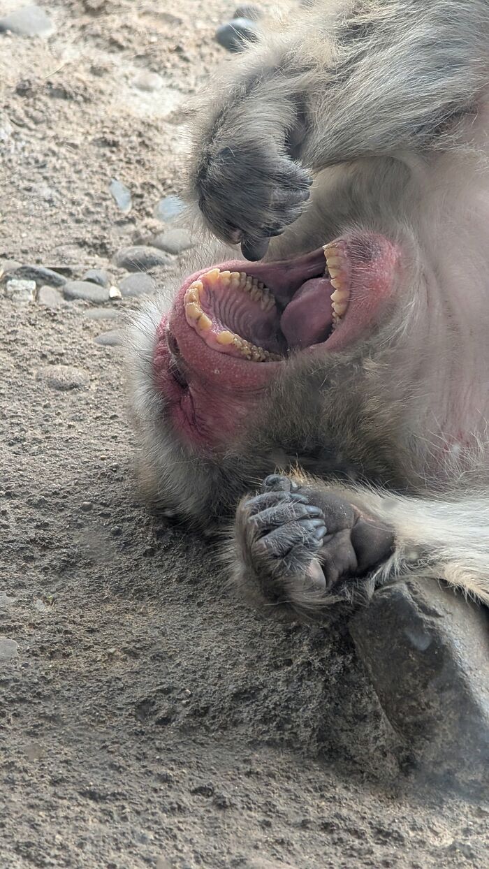 Wait, They Actually Snapped THAT Moment?!