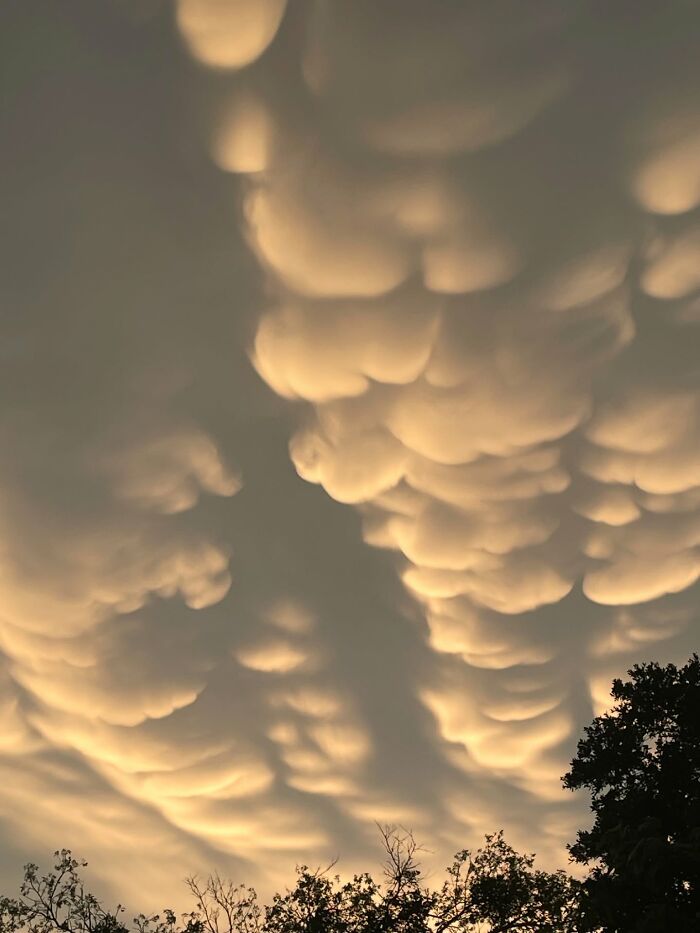 Wait, They Actually Snapped THAT Moment?!