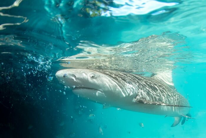 Wait, They Actually Snapped THAT Moment?!