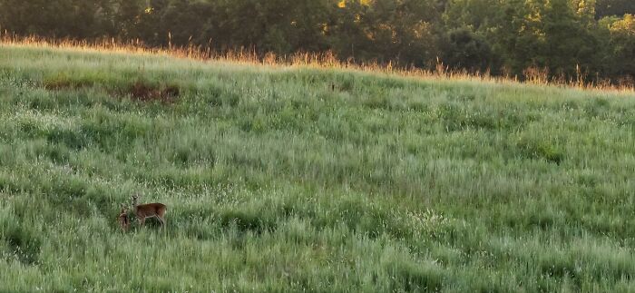 Wait, They Actually Snapped THAT Moment?!