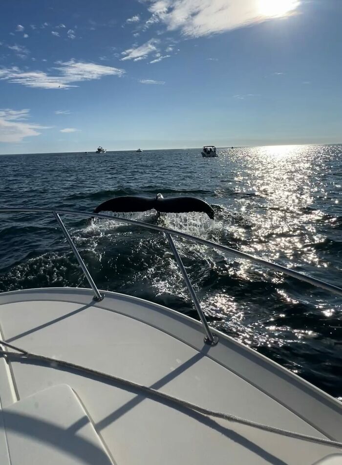 Wait, They Actually Snapped THAT Moment?!